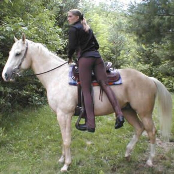 NEW Equissentials Riding Breeches: Dark Denim/Blk Deerskin Leather Jods - Picture 1 of 14
